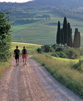 Cinque Terre and Tuscany photo